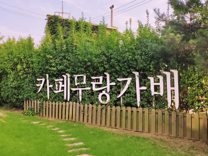 무랑가배