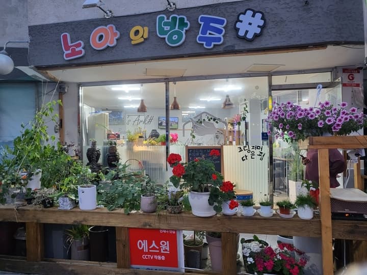 노아의방주샾