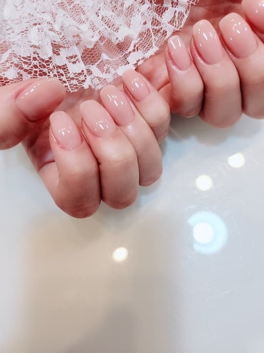손젤 2컬러 (현금가)