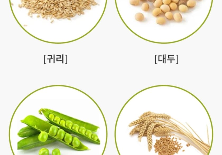 상품 상세 1