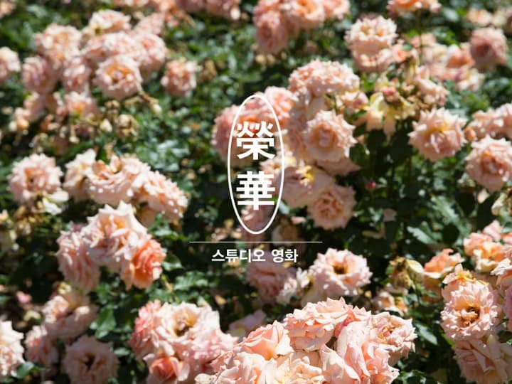 스튜디오 영화