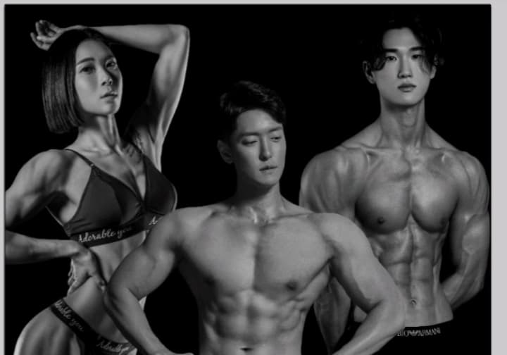 핏디짐