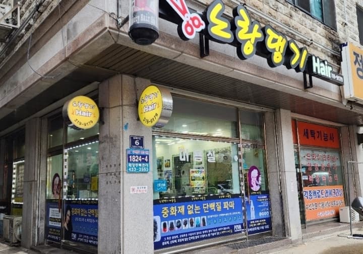 노랑댕기