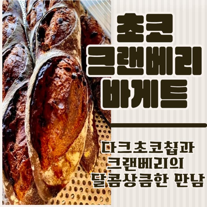 달콤상큼 초코크랜베리 바게트