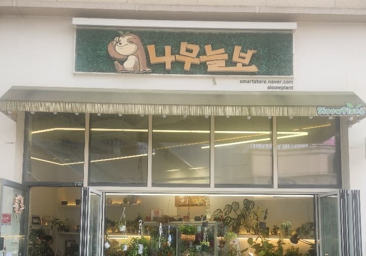 나무늘보