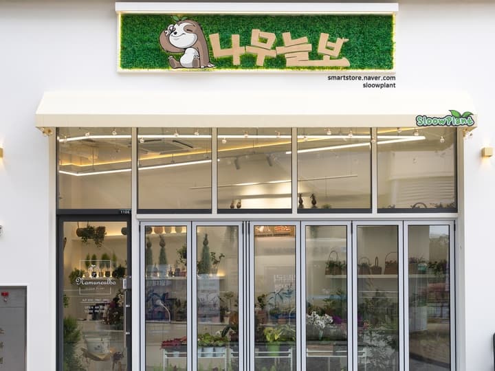 나무늘보