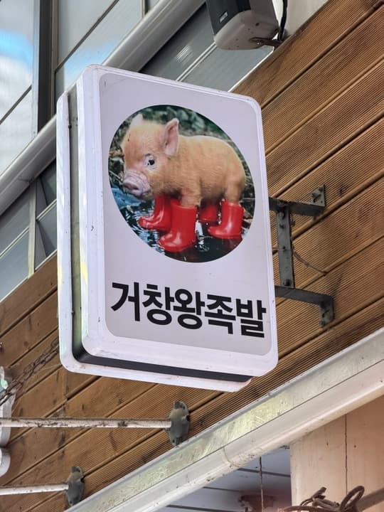 거창왕족발보쌈