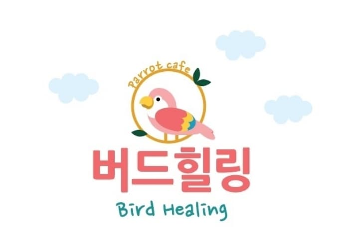 버드힐링 앵무새카페