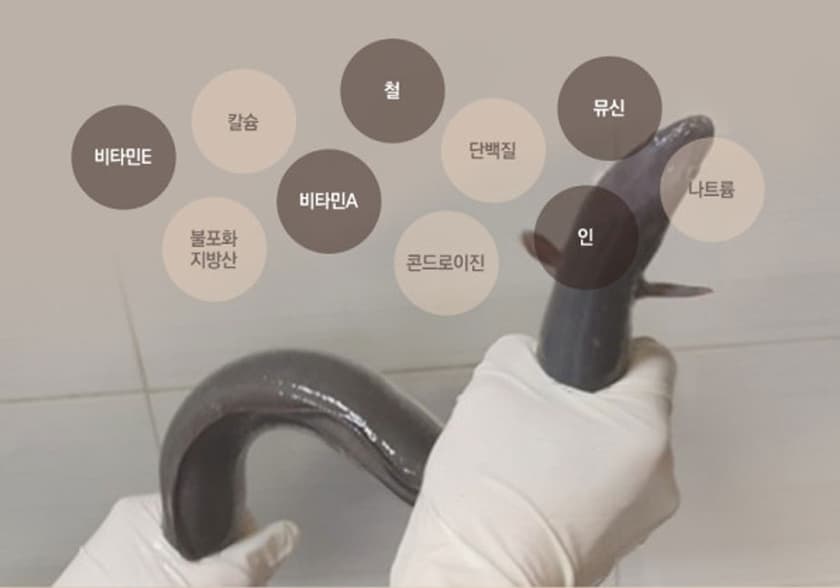 상품 상세 2