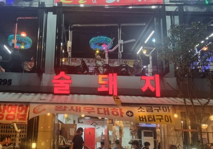 술돼지
