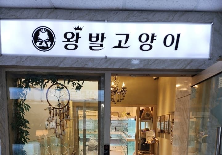 왕발고양이 