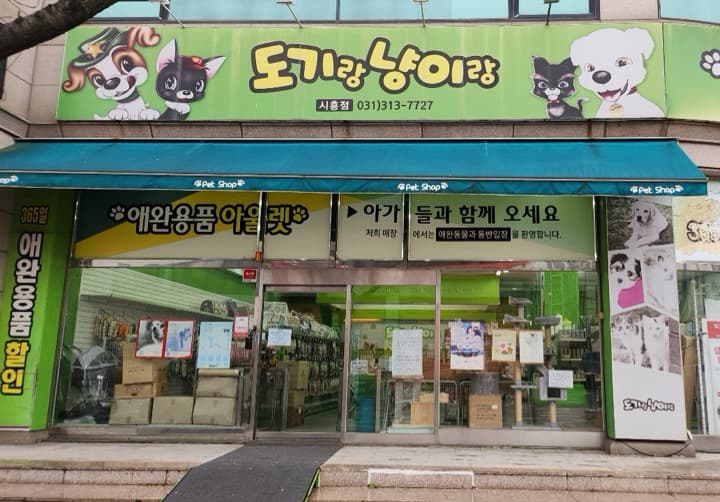 도기랑 냥이랑
