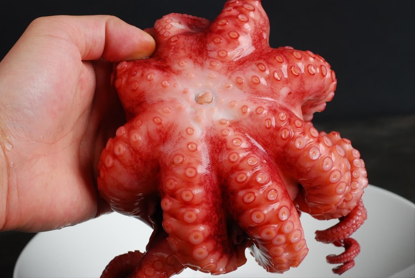 연연불망 오사카 타코야끼 연수중앙점