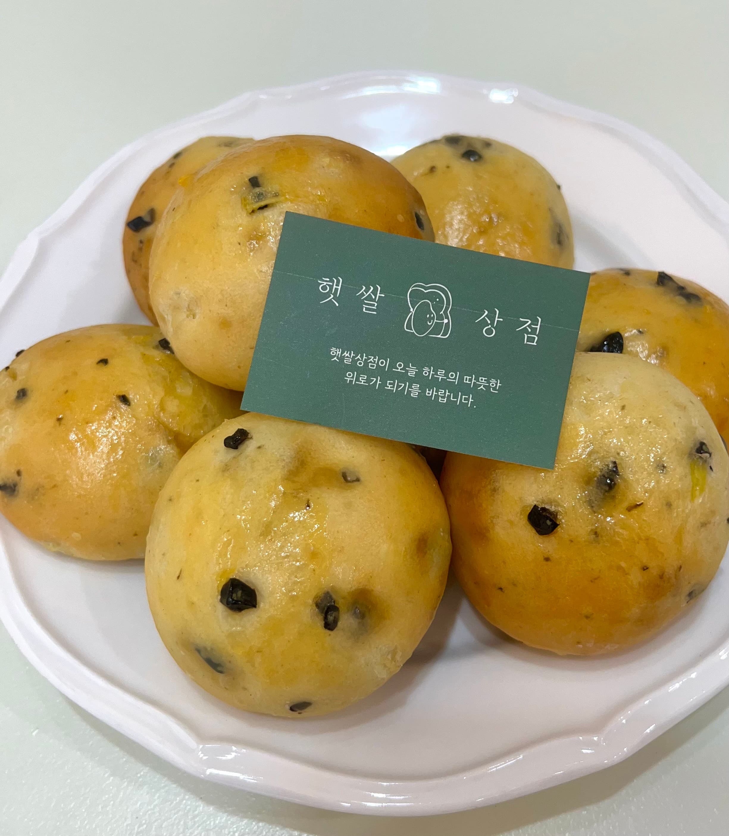 올리브동글이